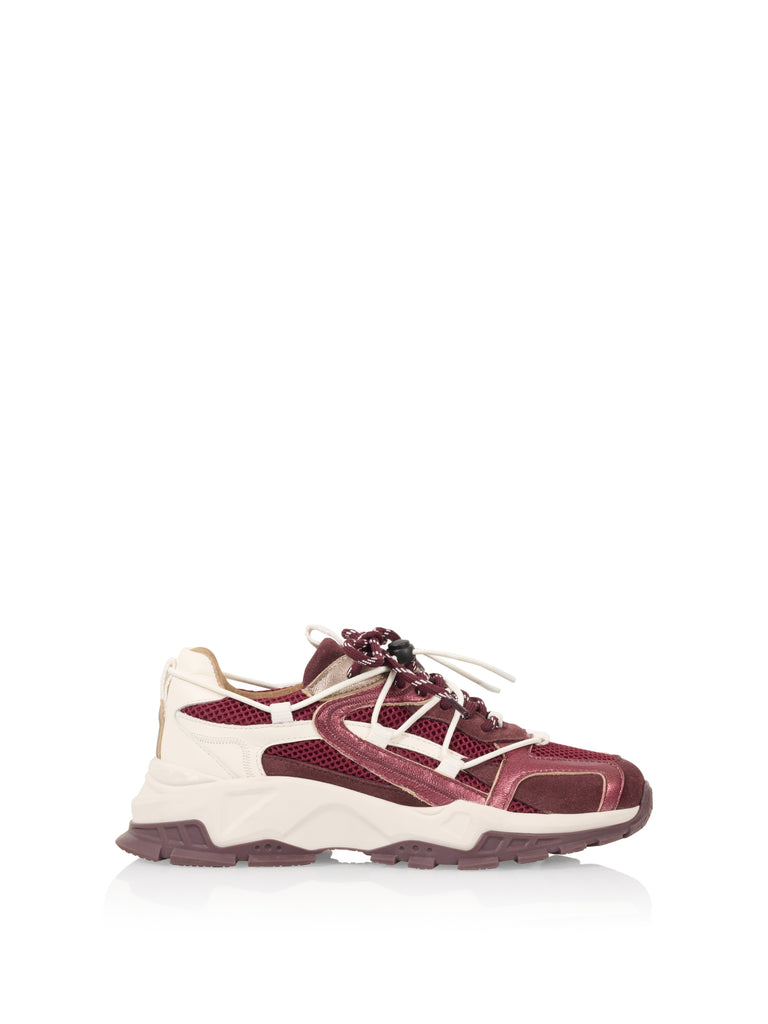 isola sneaker bordeaux dwars dwrs