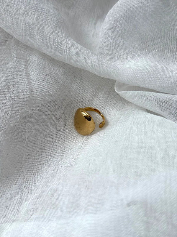 maste antwerp ring mimi stainless steel goud gold