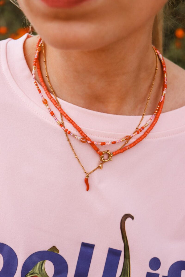 Label Kiki spicy pepper necklace gold necklace halsketting goud rode peper